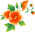 оранжевые цветы